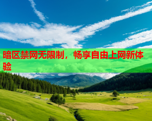 暗区禁网无限制，畅享自由上网新体验