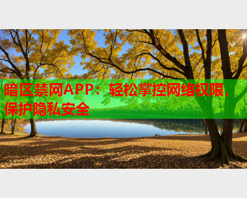 暗区禁网APP：轻松掌控网络权限，保护隐私安全