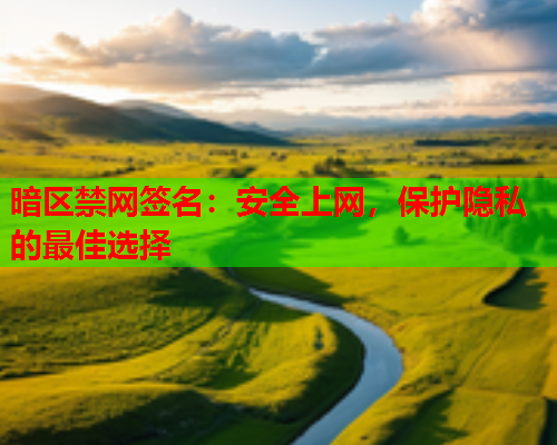 暗区禁网签名：安全上网，保护隐私的最佳选择