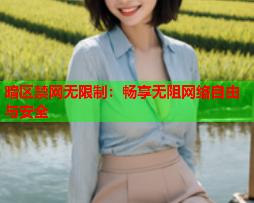 暗区禁网无限制：畅享无阻网络自由与安全