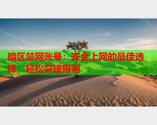 暗区禁网账号：安全上网的最佳选择，轻松突破限制