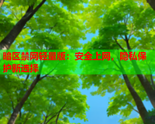 暗区禁网轻量版：安全上网，隐私保护新选择