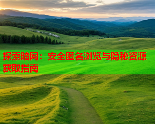 探索暗网：安全匿名浏览与隐秘资源获取指南