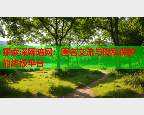 探索深网暗网：匿名交流与隐私保护的终极平台