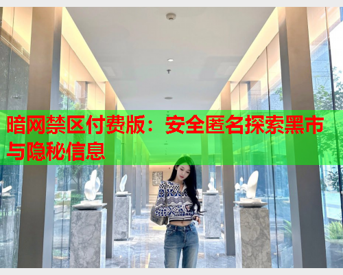 暗网禁区付费版：安全匿名探索黑市与隐秘信息