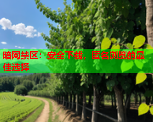 暗网禁区：安全下载，匿名浏览的最佳选择