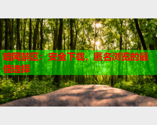 暗网禁区：安全下载，匿名浏览的最佳选择