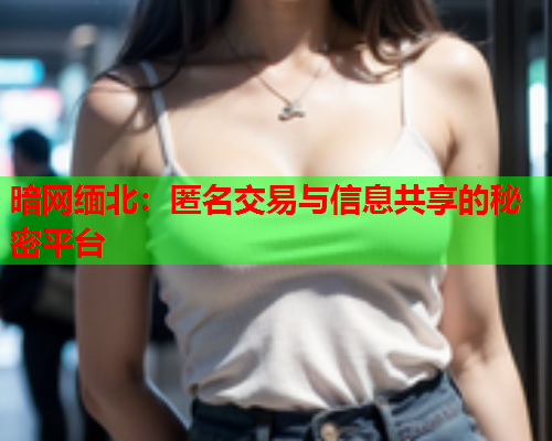 暗网缅北：匿名交易与信息共享的秘密平台