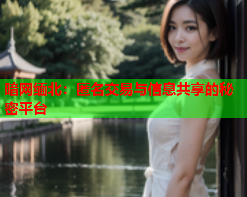 暗网缅北：匿名交易与信息共享的秘密平台