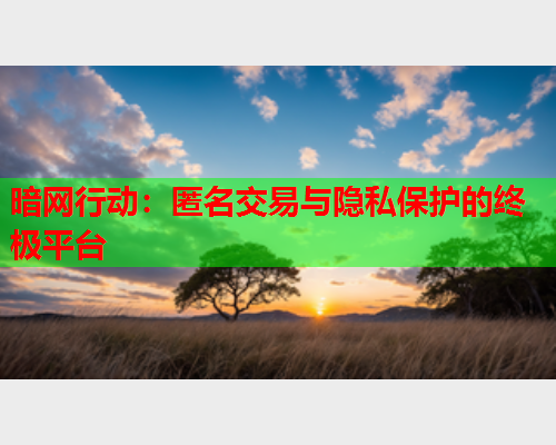 暗网行动：匿名交易与隐私保护的终极平台
