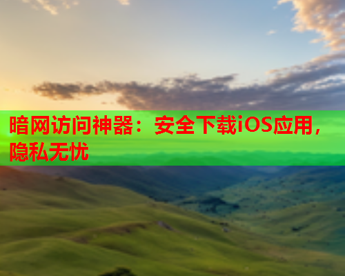 暗网访问神器：安全下载iOS应用，隐私无忧