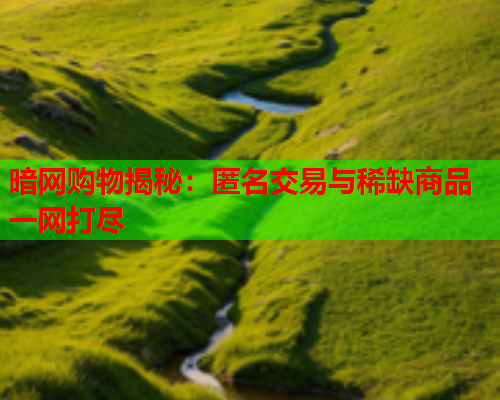 暗网购物揭秘：匿名交易与稀缺商品一网打尽