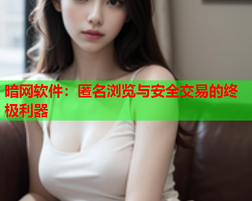 暗网软件：匿名浏览与安全交易的终极利器