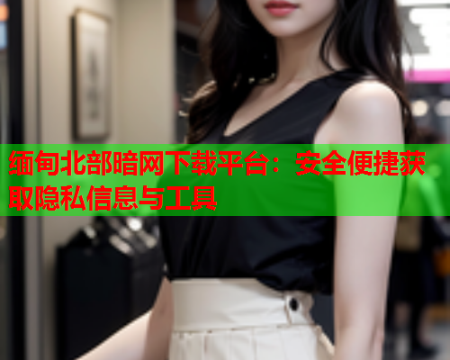缅甸北部暗网下载平台：安全便捷获取隐私信息与工具