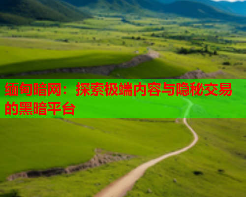 缅甸暗网：探索极端内容与隐秘交易的黑暗平台