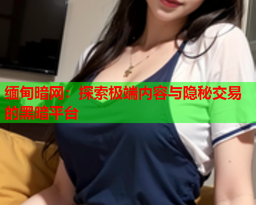 缅甸暗网：探索极端内容与隐秘交易的黑暗平台