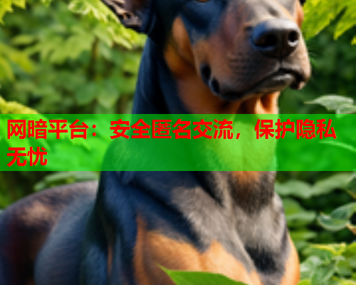 网暗平台：安全匿名交流，保护隐私无忧