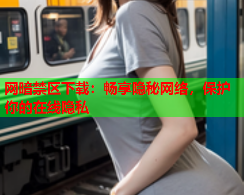 网暗禁区下载：畅享隐秘网络，保护你的在线隐私